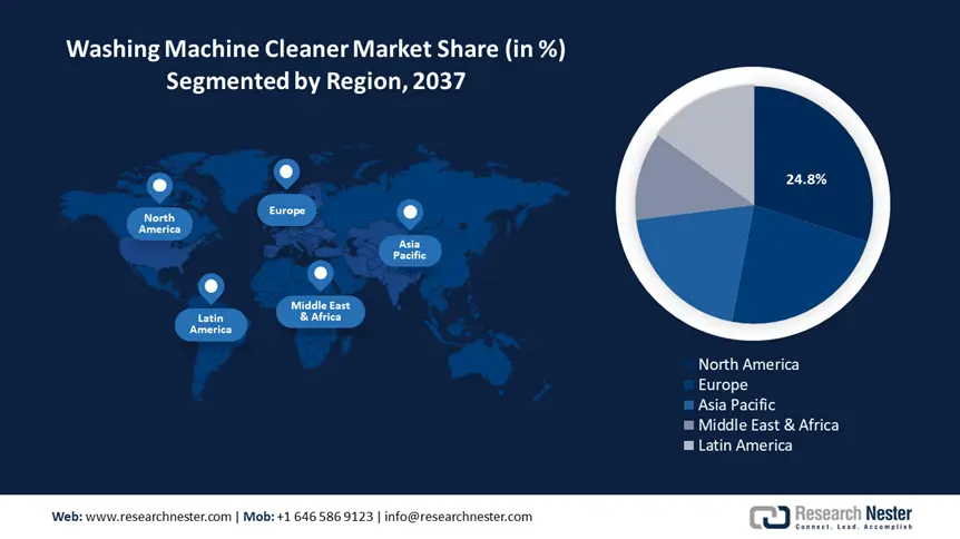 Washing Machine Cleaner Market Share